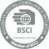 bsci-logo